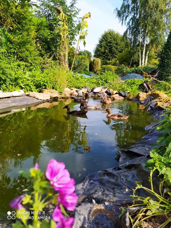 Tente Mongole 4 Saisons Cosy Et Spacieux Tente de luxe